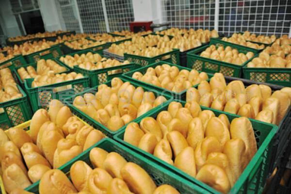 現(xiàn)代面包工廠 食品生產(chǎn)的科學流程與質量管理