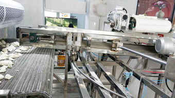 天嘉SD-03速凍水餃流水線 滎陽天嘉食品機械制造廠的日用百貨生產利器